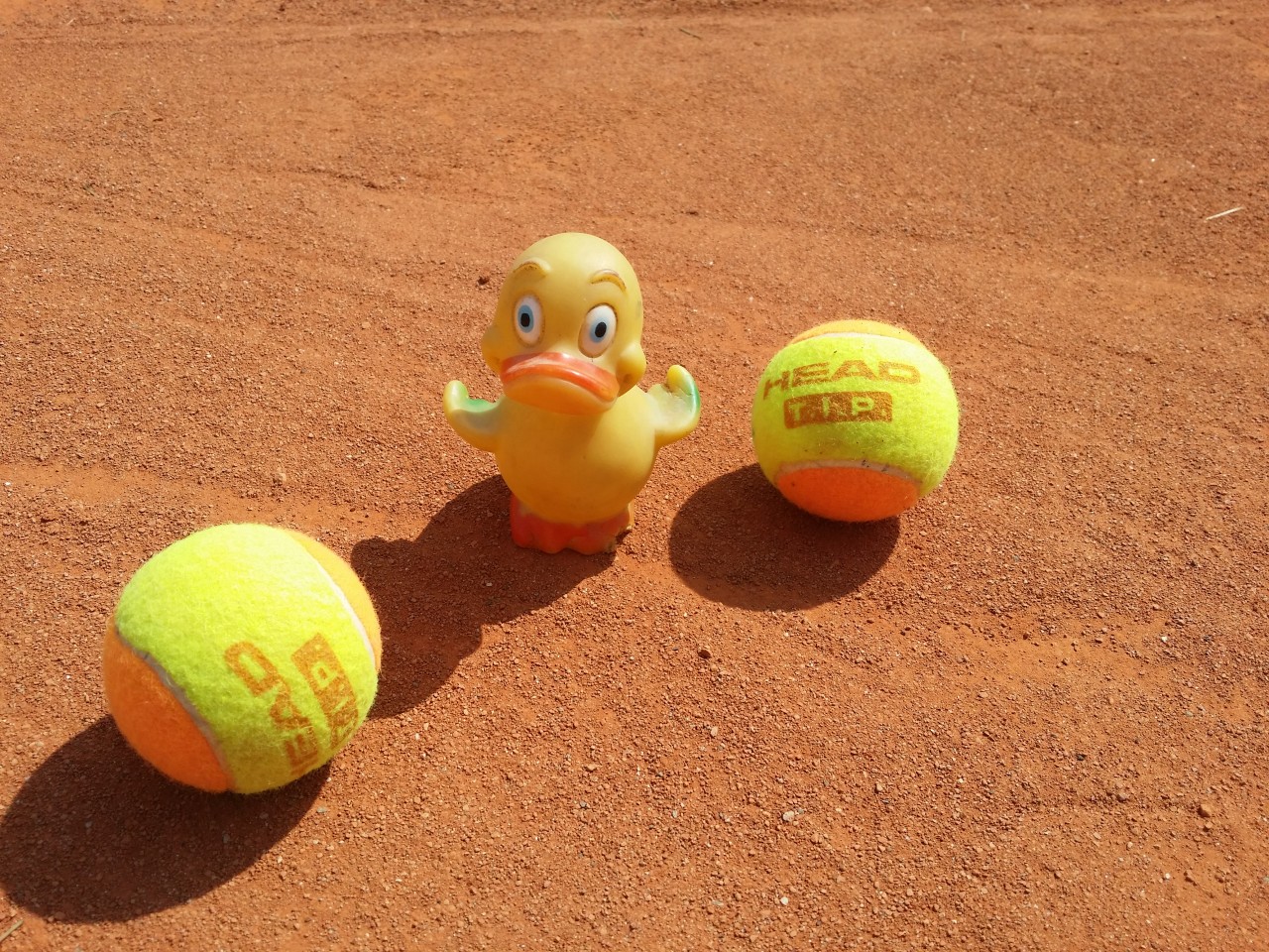 Unser Camp-Diary aus der Schüttler Waske Tennis University