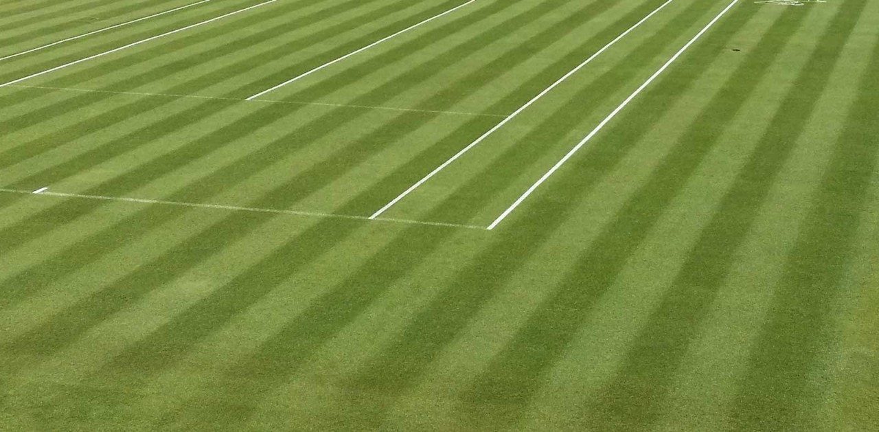 Wimbledon 2017